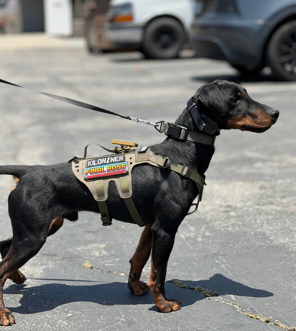 K9R - D5 Dachsund Specific MOLLE Light Harness
