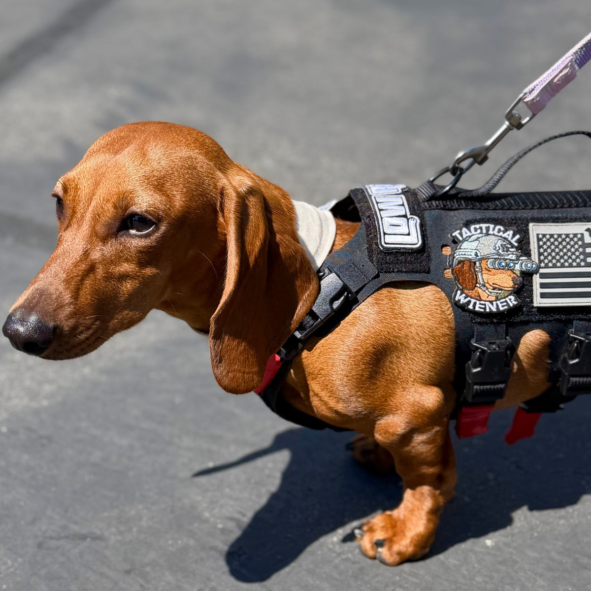 Tactical Wiener NVG Morale Patch