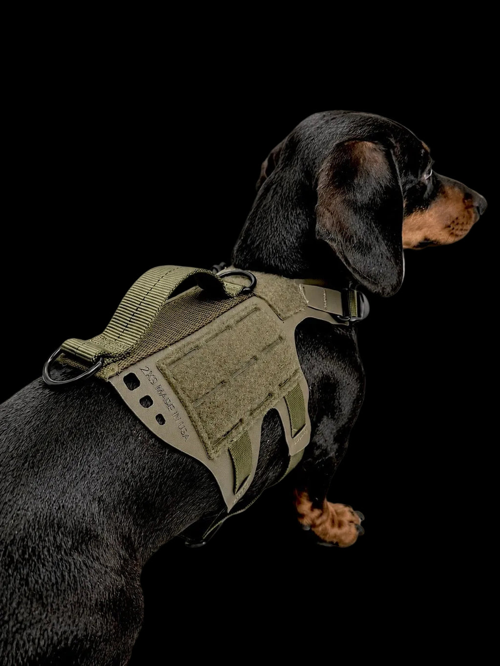 K9R - D5 Dachsund Specific MOLLE Light Harness