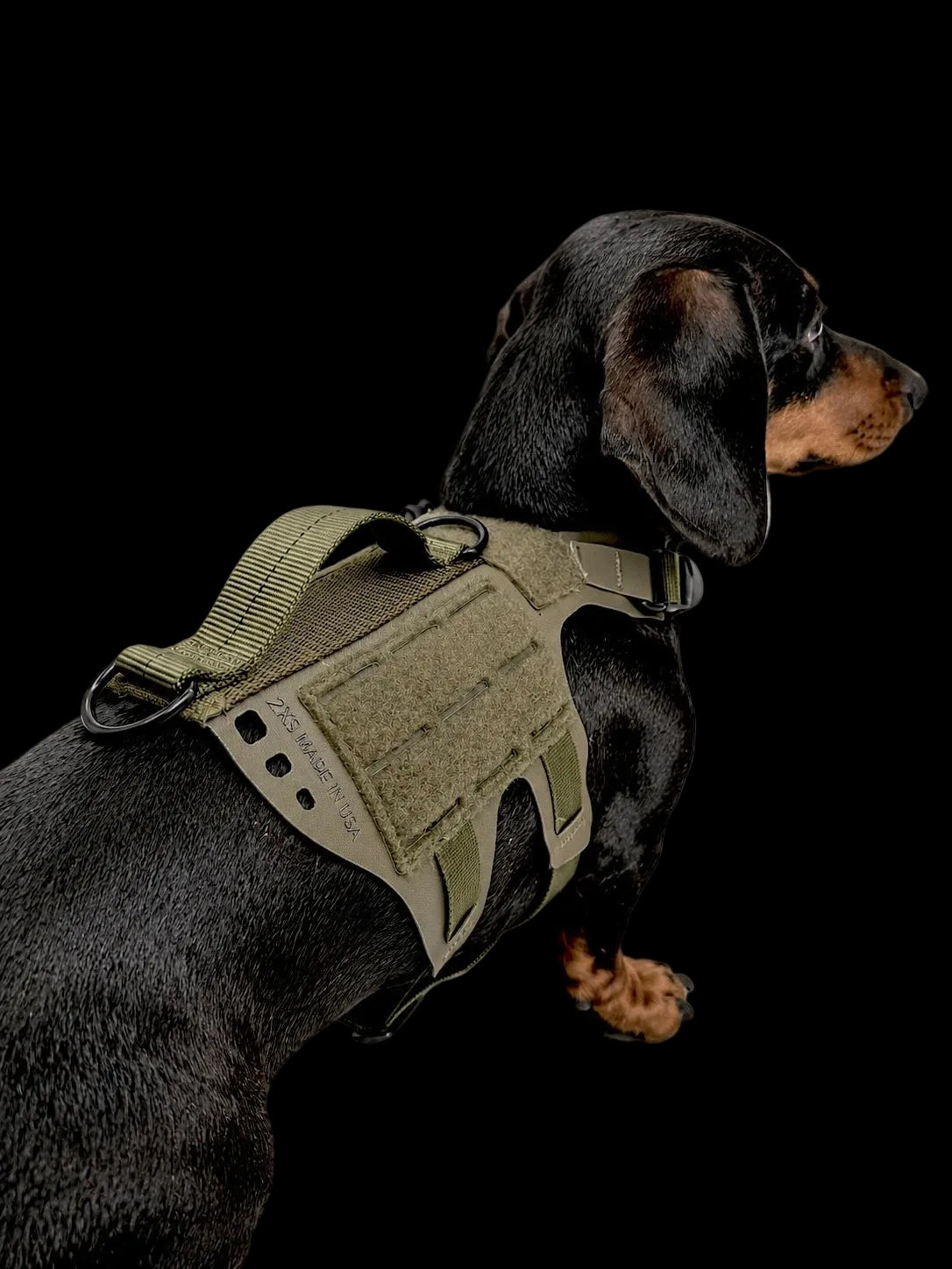 K9R - D5 Dachsund Specific MOLLE Light Harness