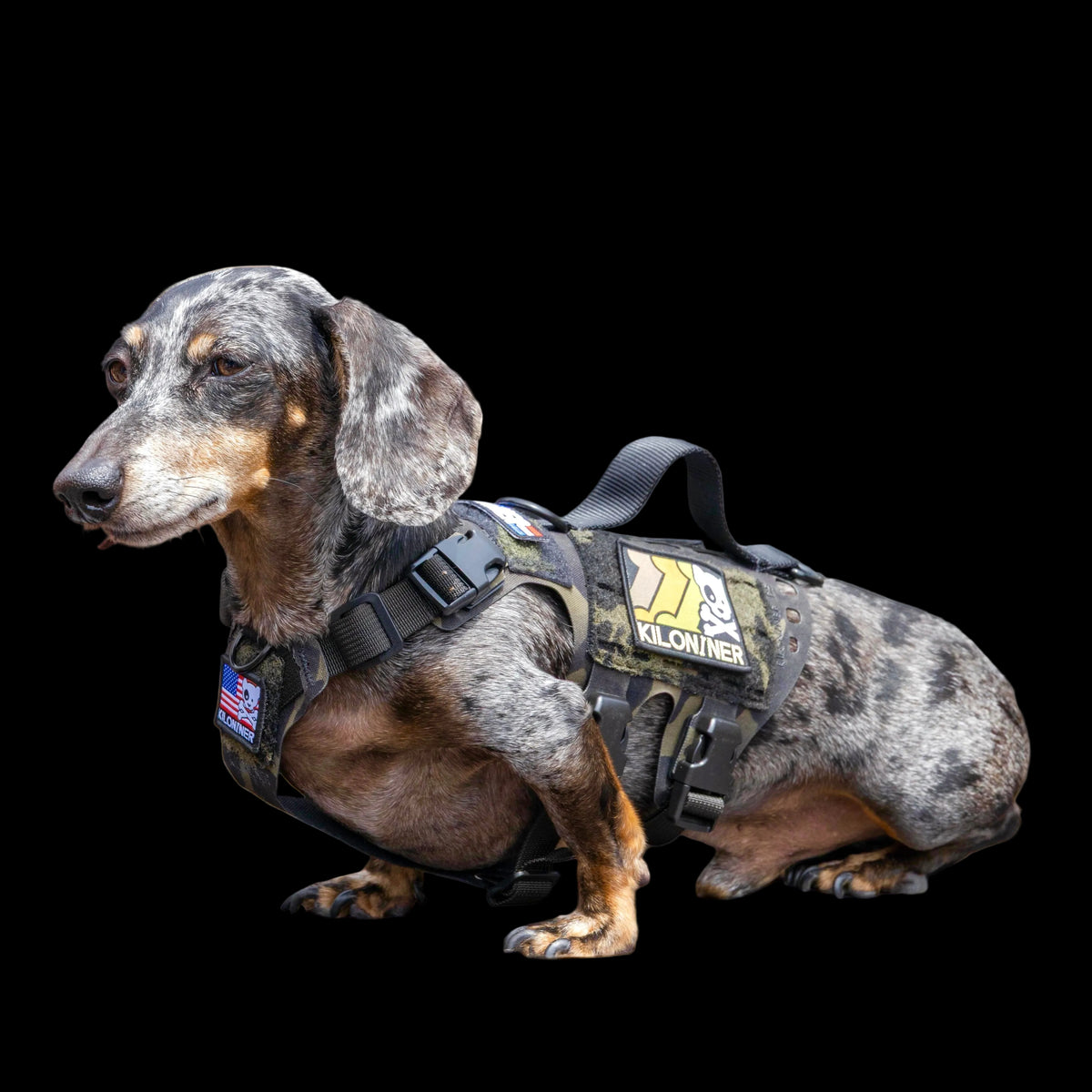 K9R - D5 Dachsund Specific MOLLE Light Harness