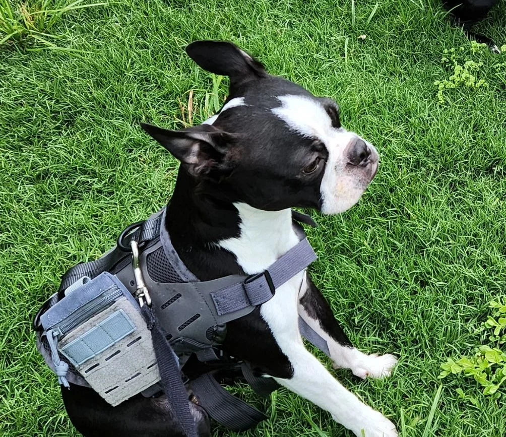MOLLE Pocket Pouch For Harness