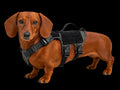 K9R - D5 Dachsund Specific MOLLE Light Harness