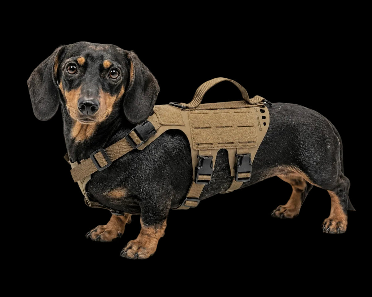 K9R - D5 Dachsund Specific MOLLE Light Harness
