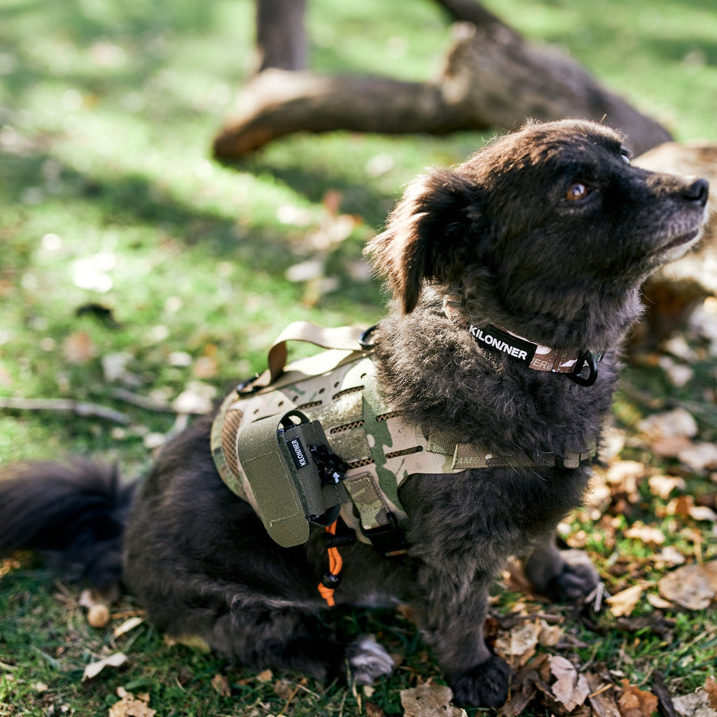 MP4  Clip On Poop Bag Dispenser Pouch