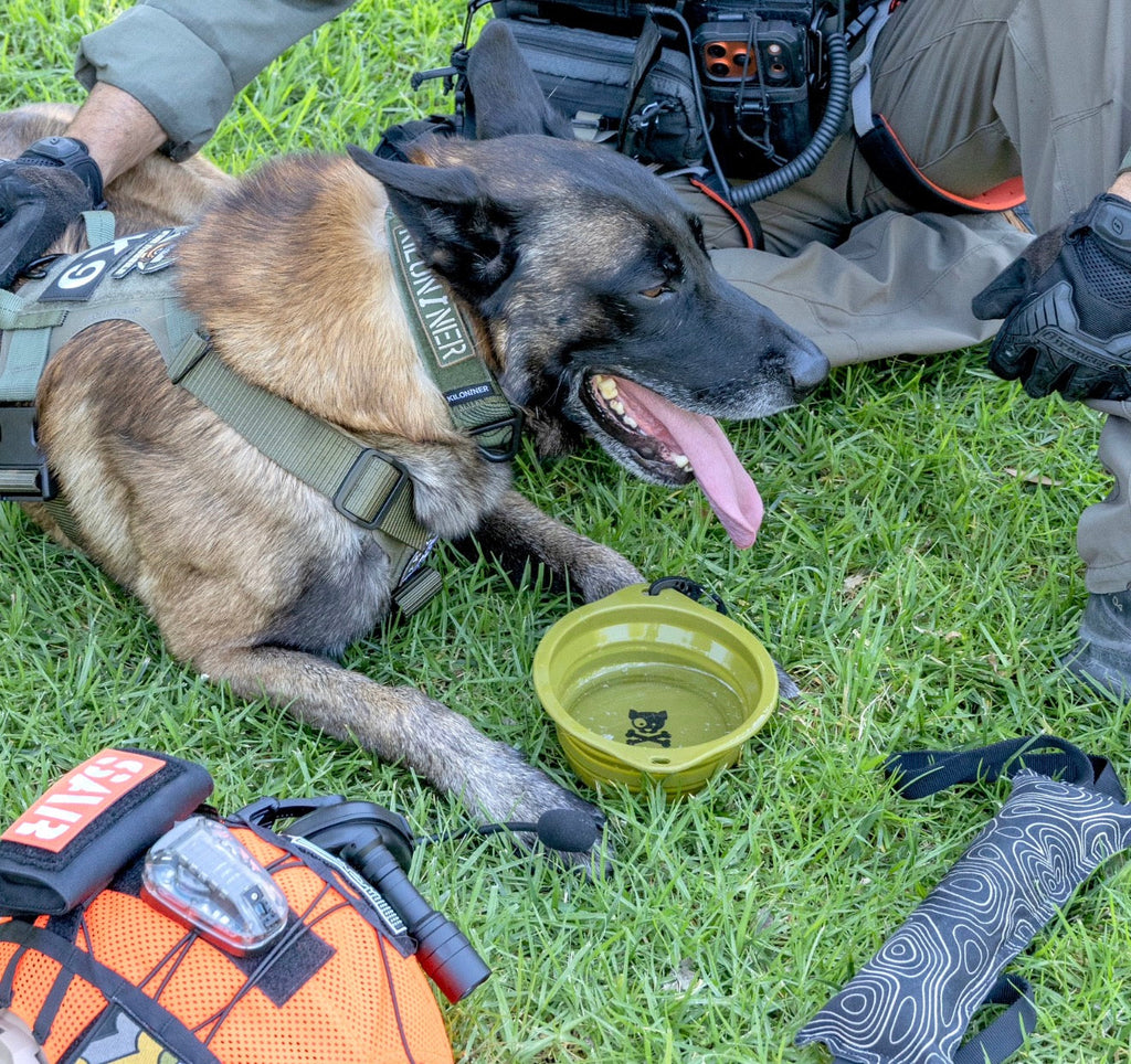 CB1 Collapsible Dog Bowl