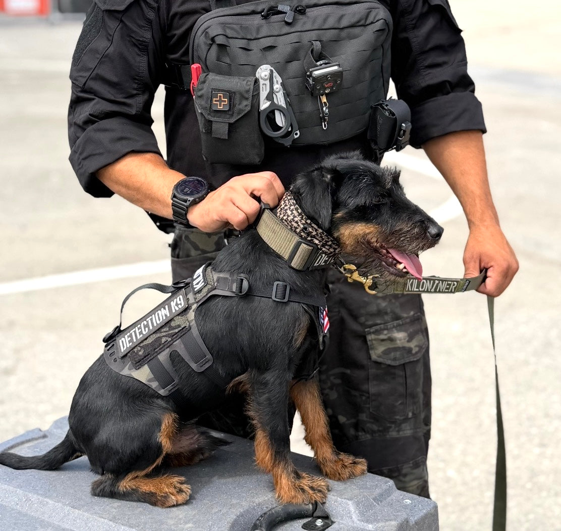 K9R - D5 Dachsund Specific MOLLE Light Harness