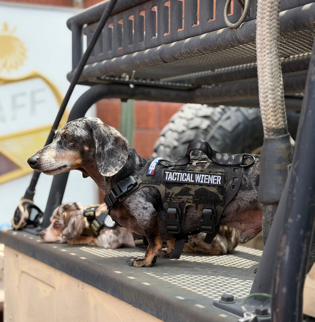 Tactical Wiener Morale Patch