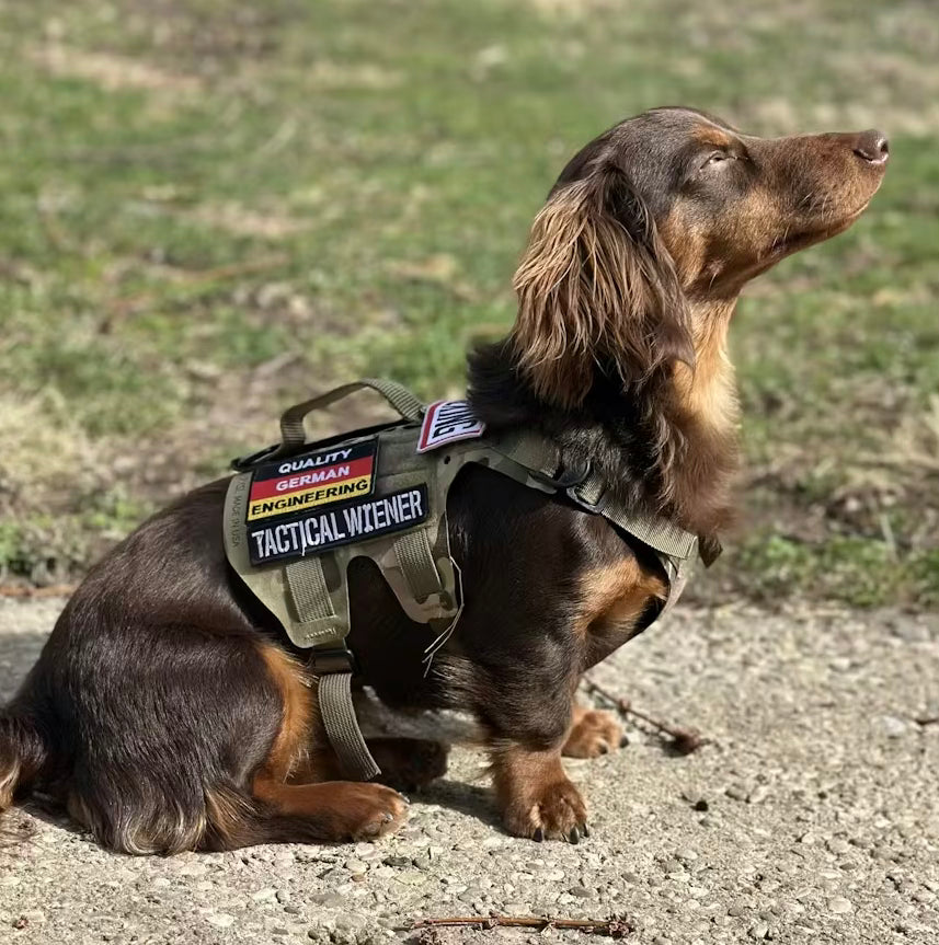 Tactical Wiener Morale Patch