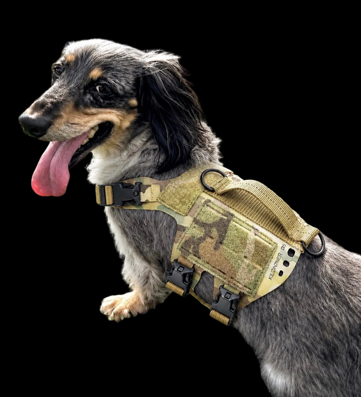 K9R - D5 Dachsund Specific MOLLE Light Harness