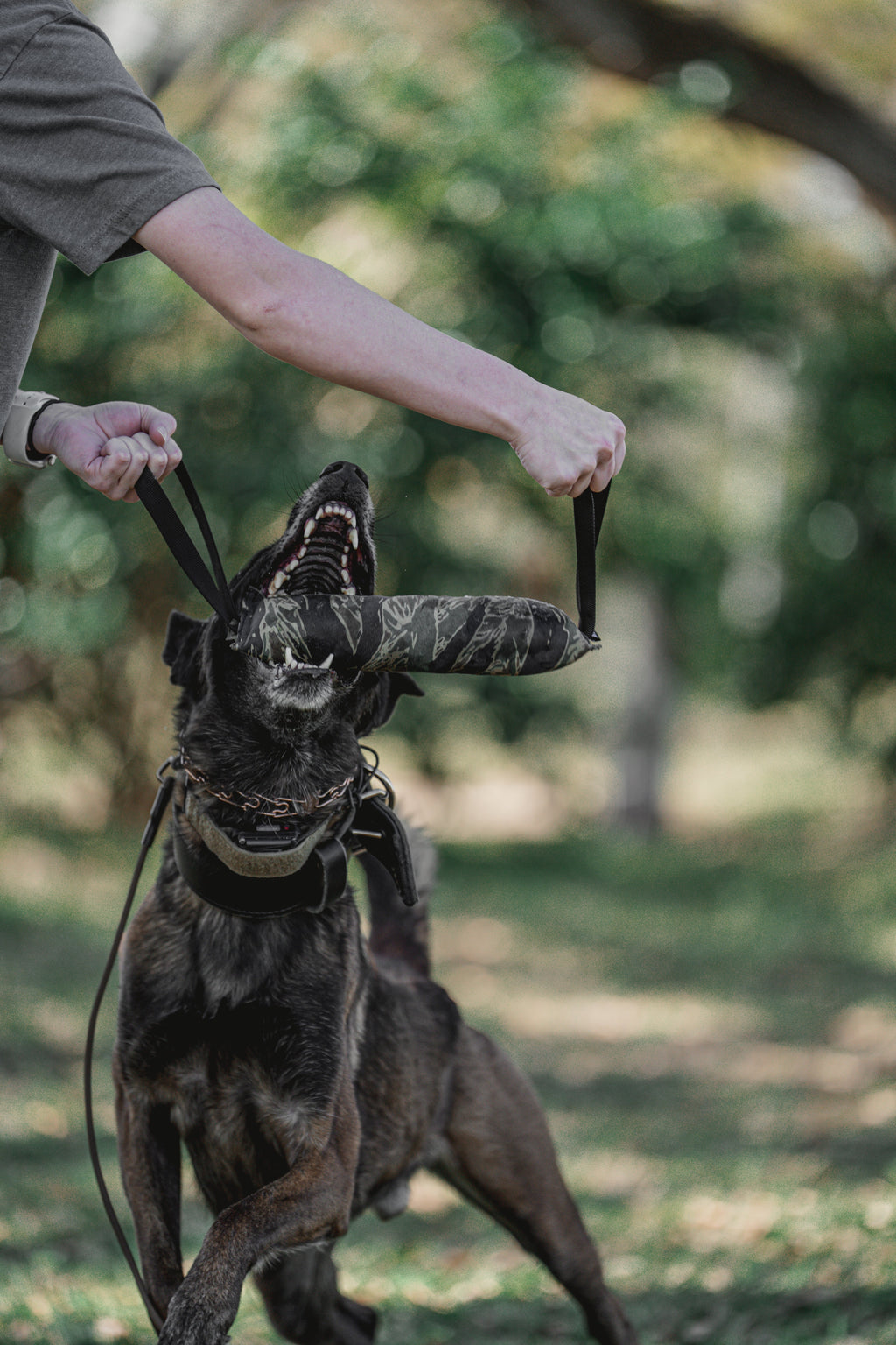 TUG-N-TRAIN Tug Toy