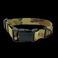 K9R - M2C Lightspeed Collar